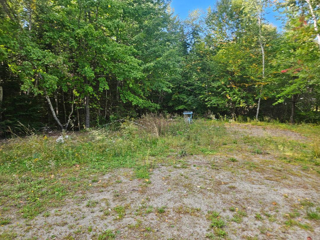 286 Hopkins Road Plymouth, ME 04969 - Photo 8 of 9 thumbnail - 2026-09-14T173230.487