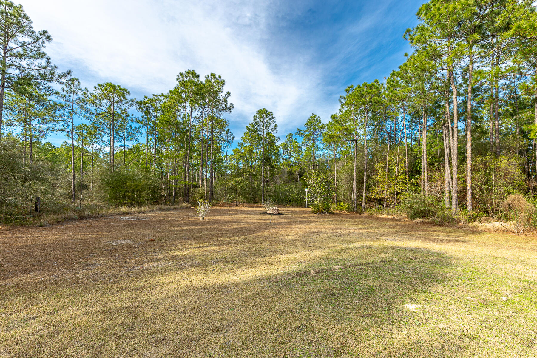 453 Don Graff Road Freeport, FL 32439 - Photo 54 of 59 a view of a yard with a trees
