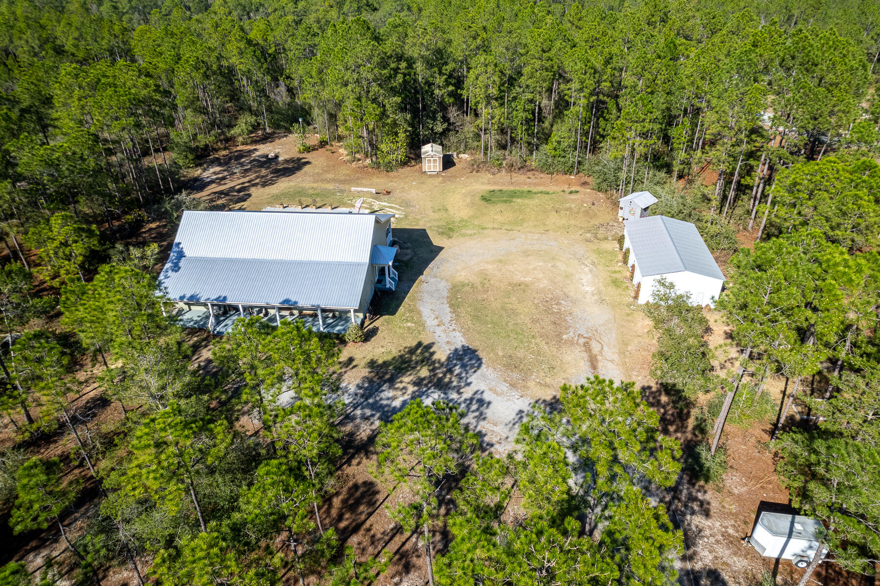 453 Don Graff Road Freeport, FL 32439 - Photo 58 of 59 a view of a yard with plants and large trees
