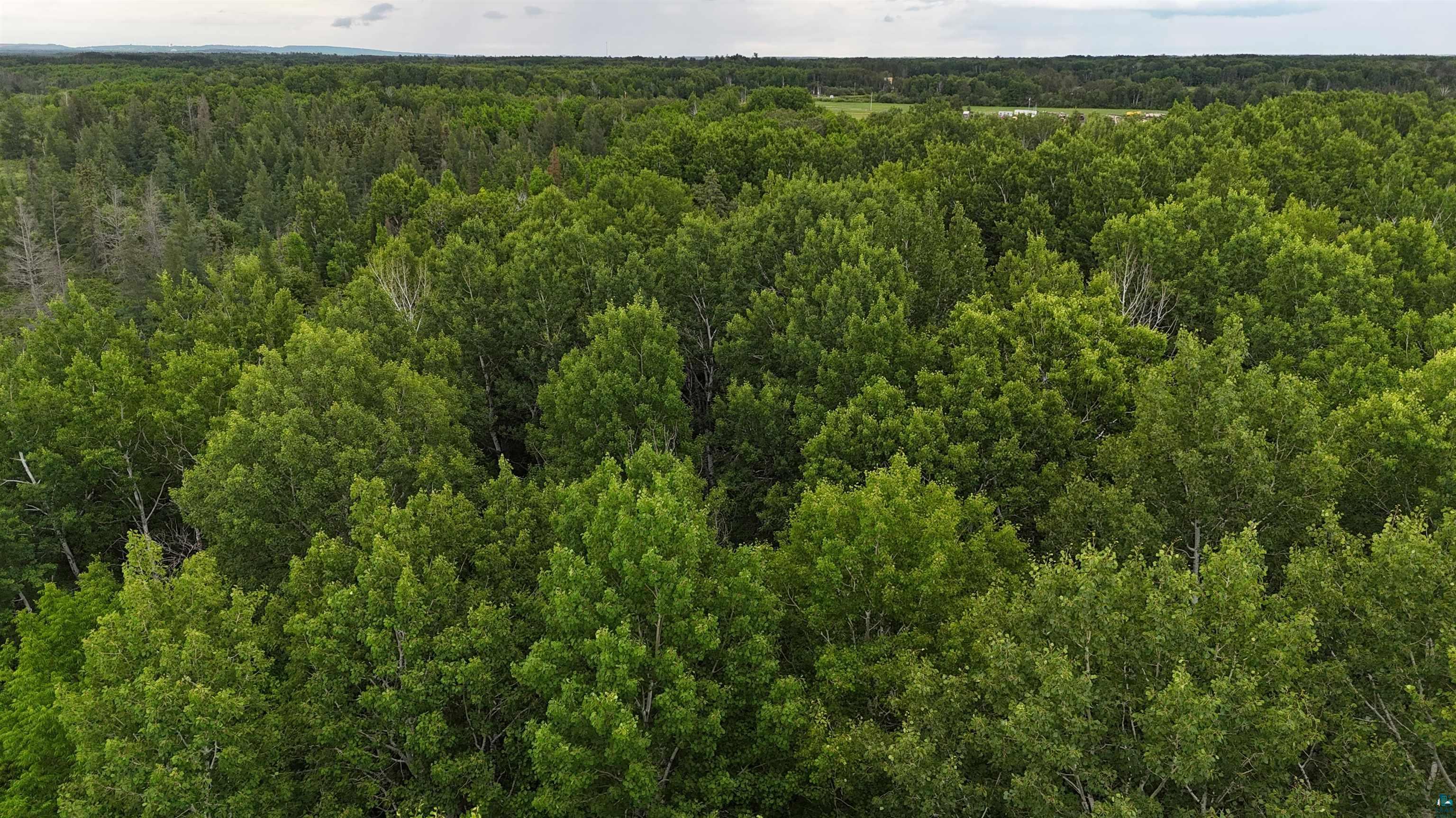 3-xxx Quaal Road Forbes, MN 55738 - Photo 22 of 26