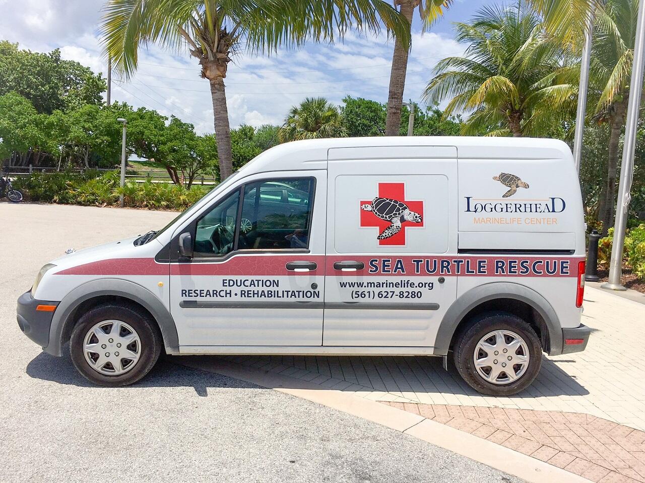 1101 Keystone Drive, Unit F Jupiter, FL 33458 - Photo 35 of 36 Sea Turtle Rescue