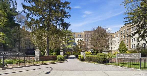 a view of a garden