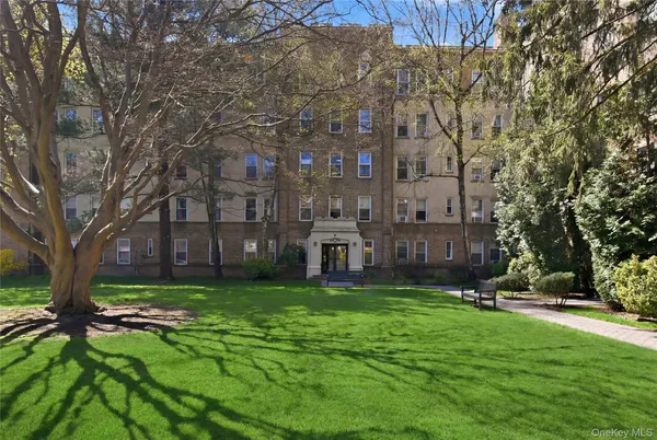 a view of a park with large trees