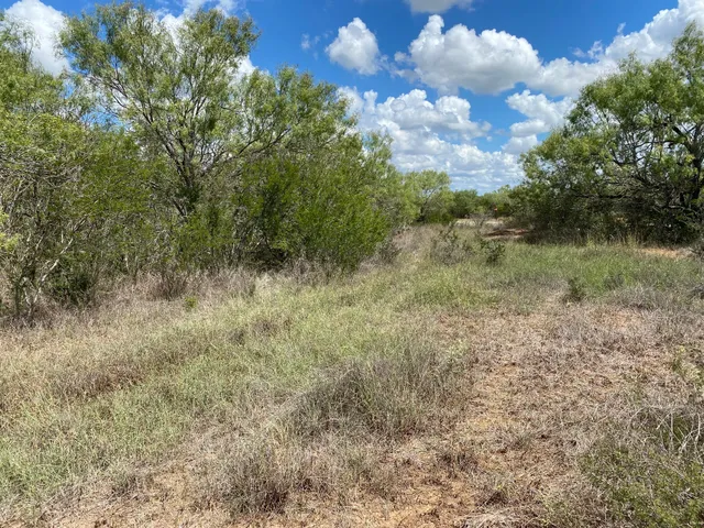 $810,000 | 9538 Farm To Market Road 1333, Charlotte, TX 78011