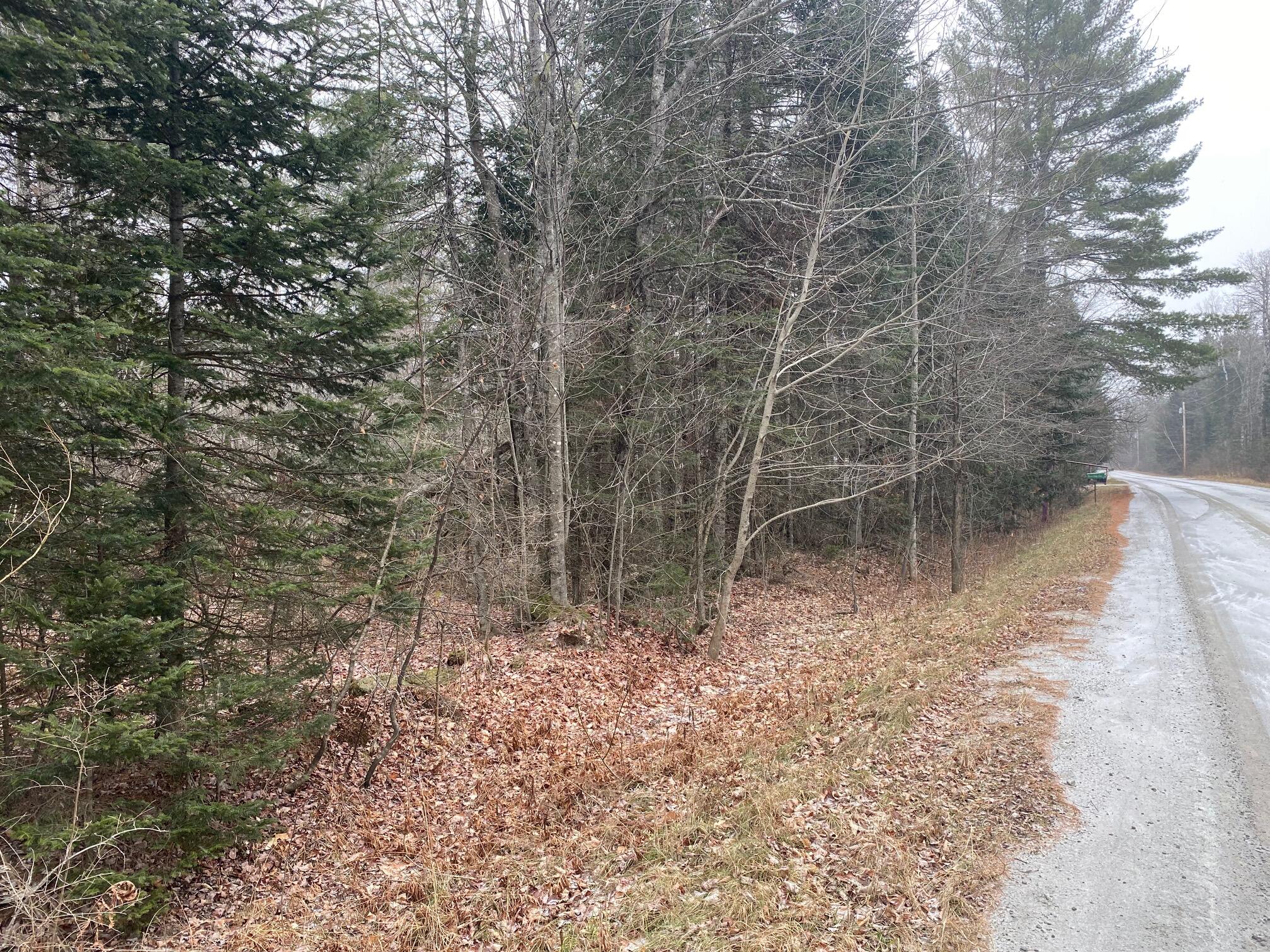 1 Map Road Dover-Foxcroft, ME 04426 - Photo 3 of 7 IMG_2375