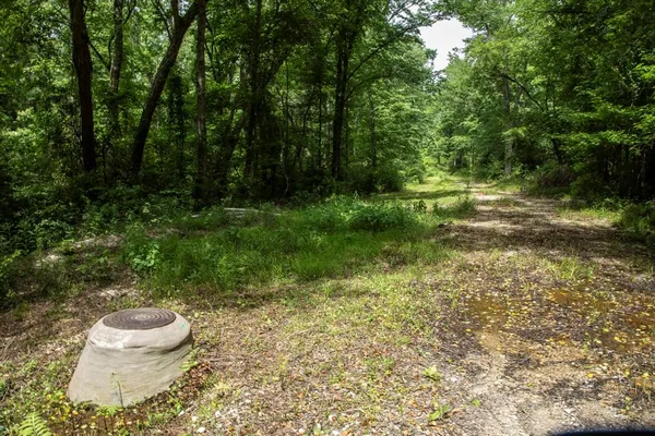 a outdoor view with a fountain