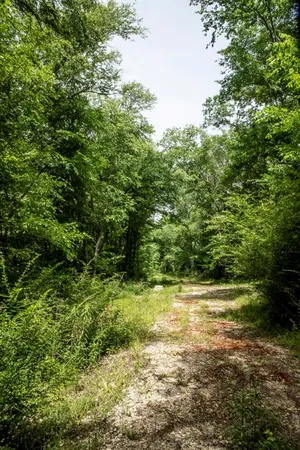 a view of a green yard
