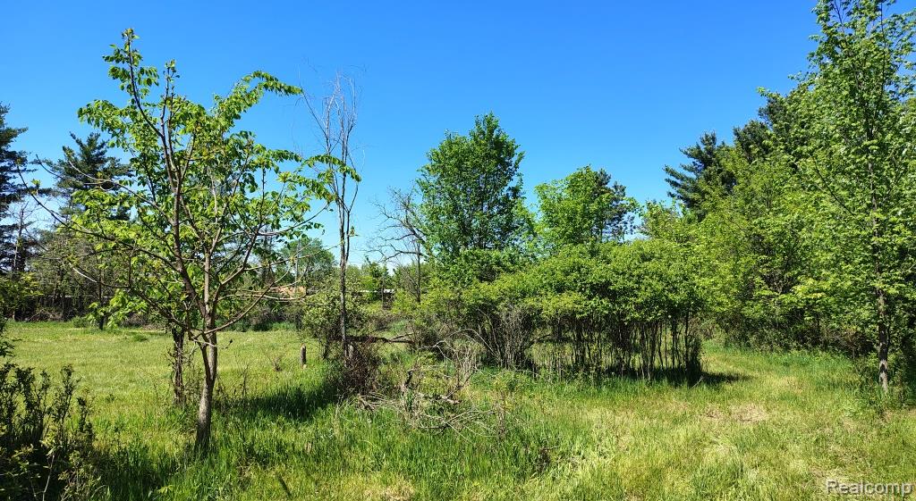 A Hemingway Lake Road Otter Lake, MI 48464 - Photo 4 of 16