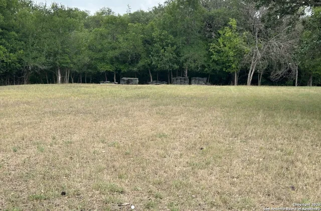 a view of a green field with trees in the background