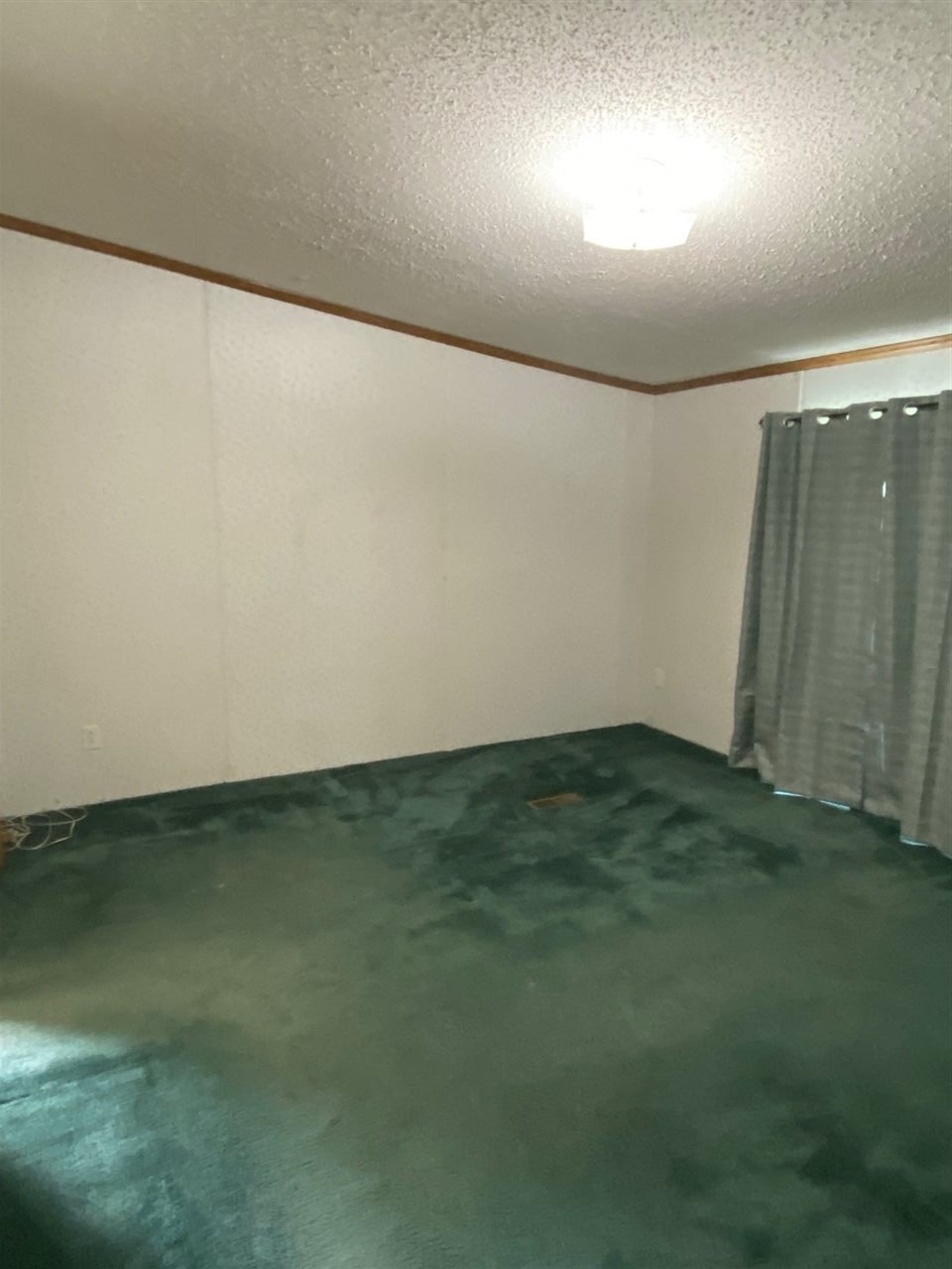 2803 West Miller Road Morrice, MI 48857 - Photo 11 of 21 Gallery Image 11