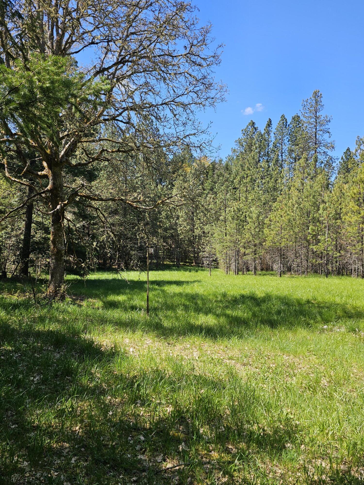 Marcy Loop Road, Unit 1001 Grants Pass, OR 97527 - Photo 3 of 22 1000007279