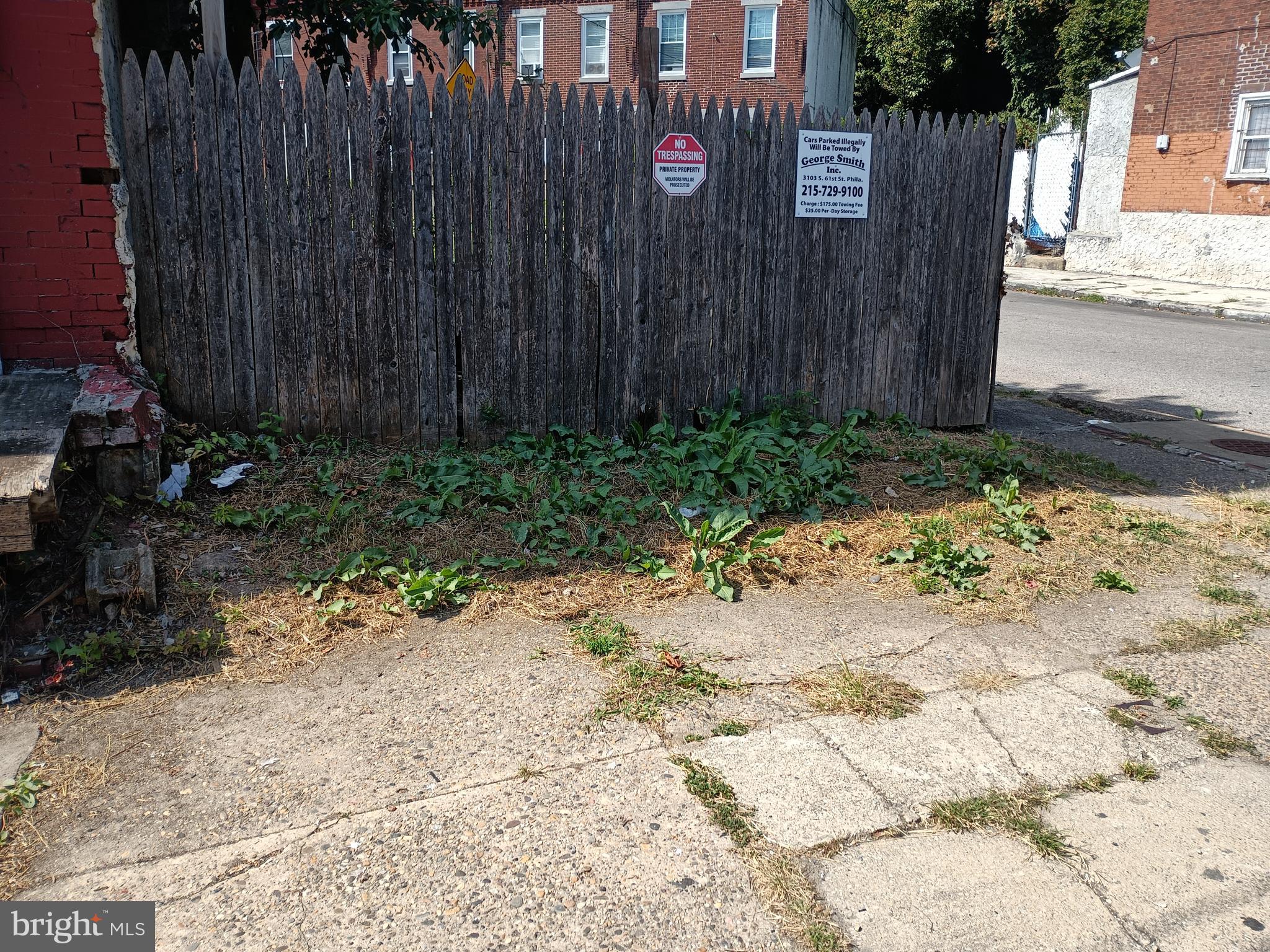 5630 Heiskell Street Philadelphia, PA 19144 - Photo 1 of 1 a backyard of a house with plants and trees