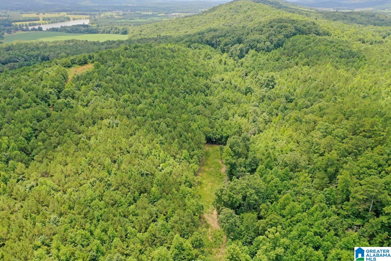 0 US Highway 278 Altoona, AL 35952 - Photo 7 of 14