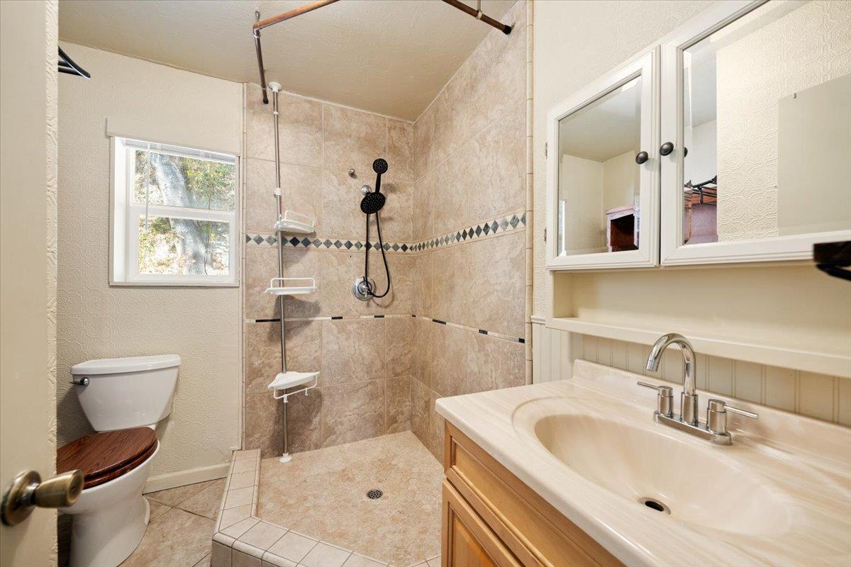 1302 Nicks Lane Placerville, CA 95667 - Photo 29 of 51 a bathroom with a sink toilet a mirror and shower