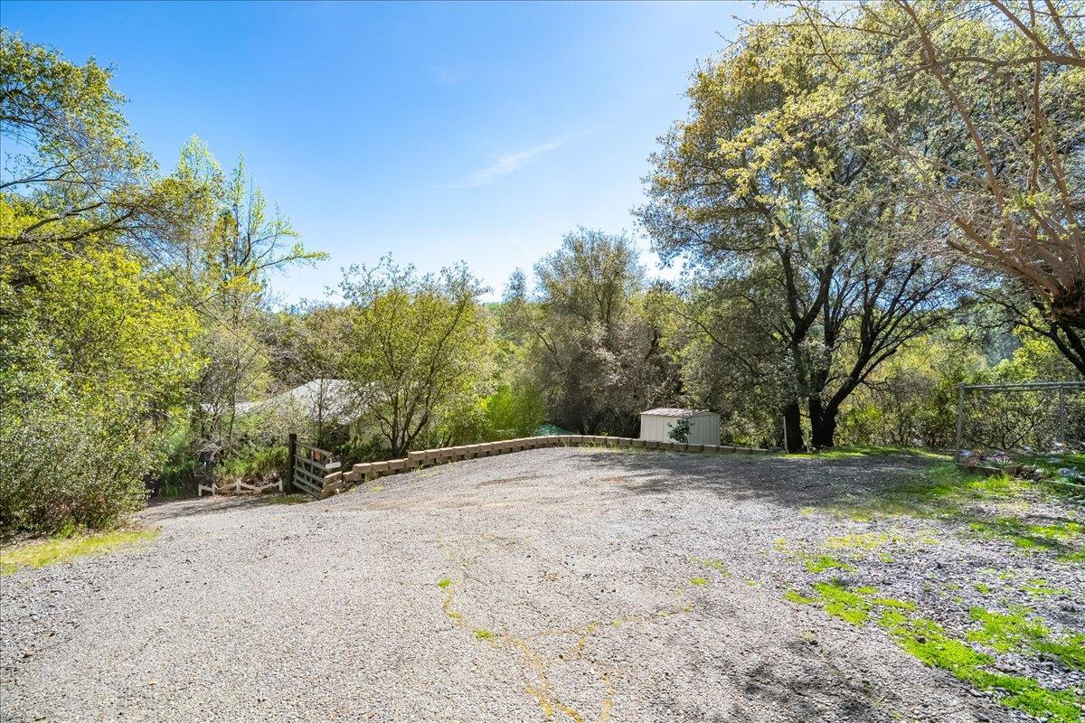 1302 Nicks Lane Placerville, CA 95667 - Photo 36 of 51 a view of a yard with a tree