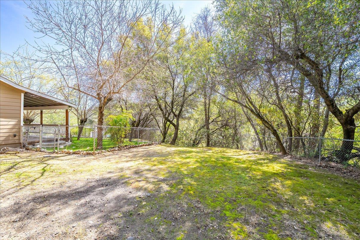 1302 Nicks Lane Placerville, CA 95667 - Photo 43 of 51 a view of yard with trees in the background