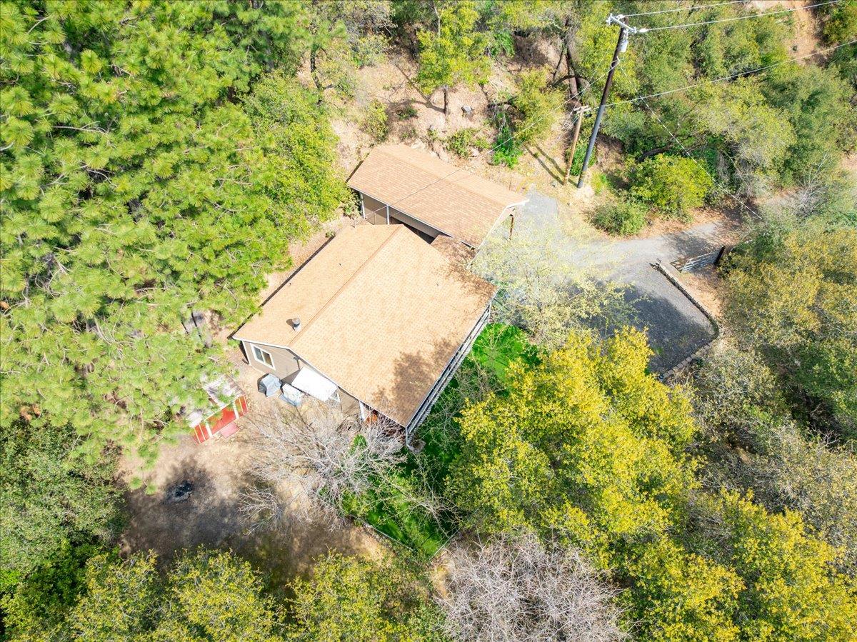 1302 Nicks Lane Placerville, CA 95667 - Photo 46 of 51 a view of a yard with plants