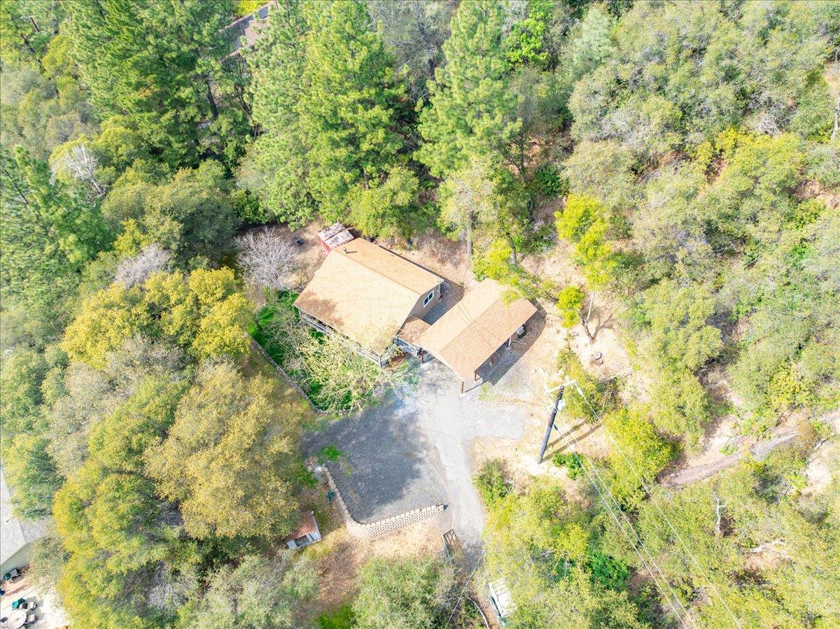 1302 Nicks Lane Placerville, CA 95667 - Photo 48 of 51