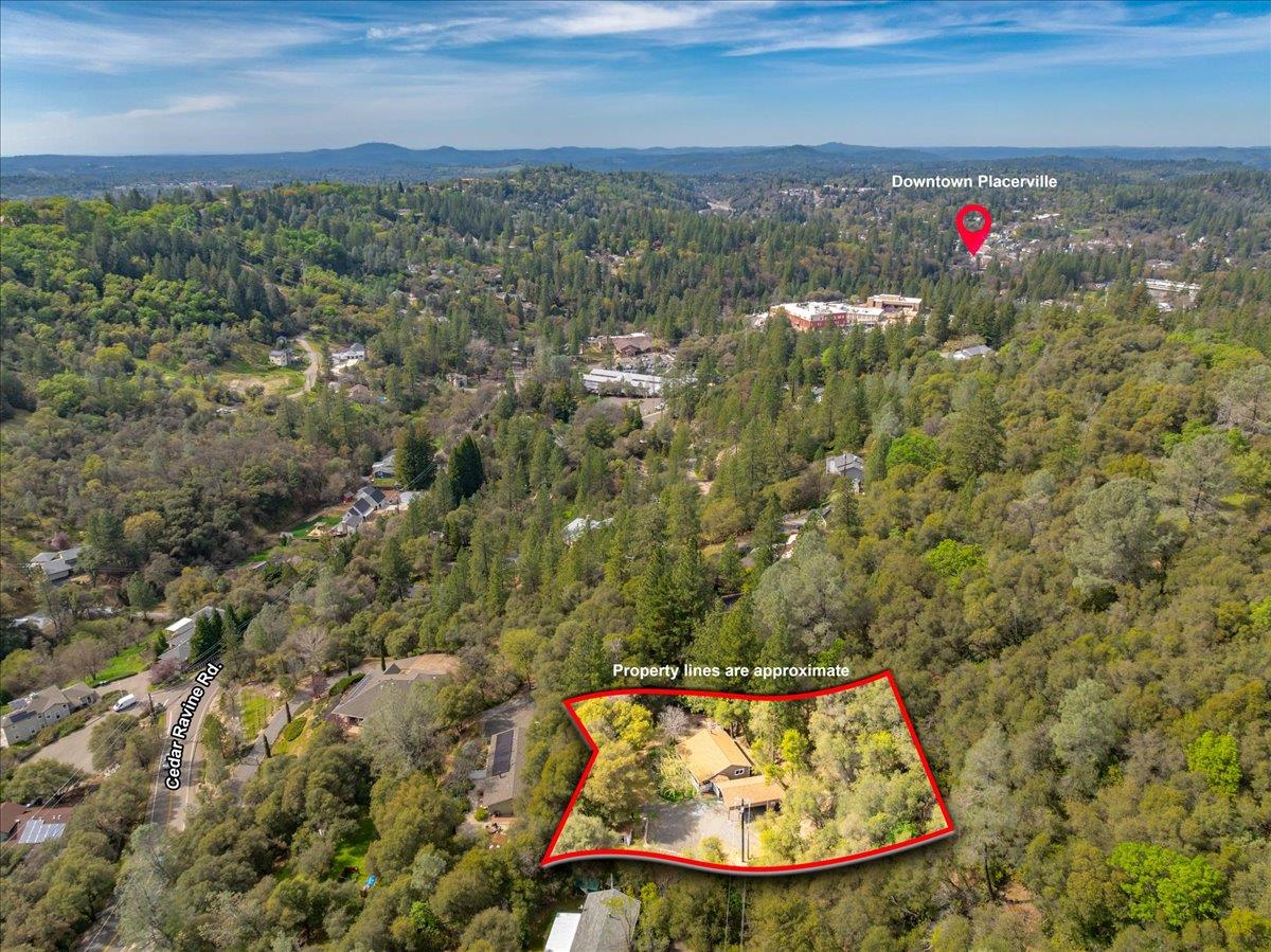 1302 Nicks Lane Placerville, CA 95667 - Photo 49 of 51 a view of a yard with an outdoor space