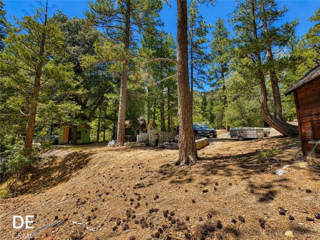 52915 Forest Rte 4S02 Idyllwild, CA 92549 - Photo 13 of 30
