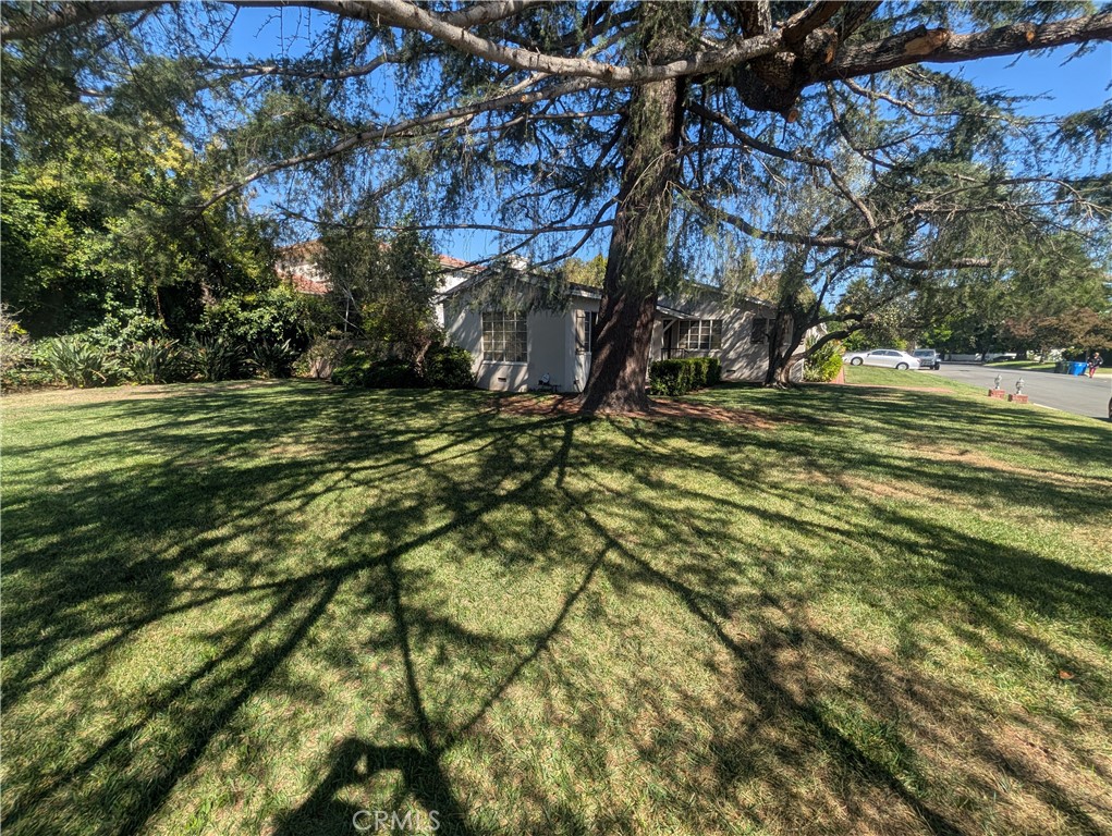 11581 Valley Spring Lane Studio City, CA 91604 - Photo 3 of 6 a view of a yard with a tree