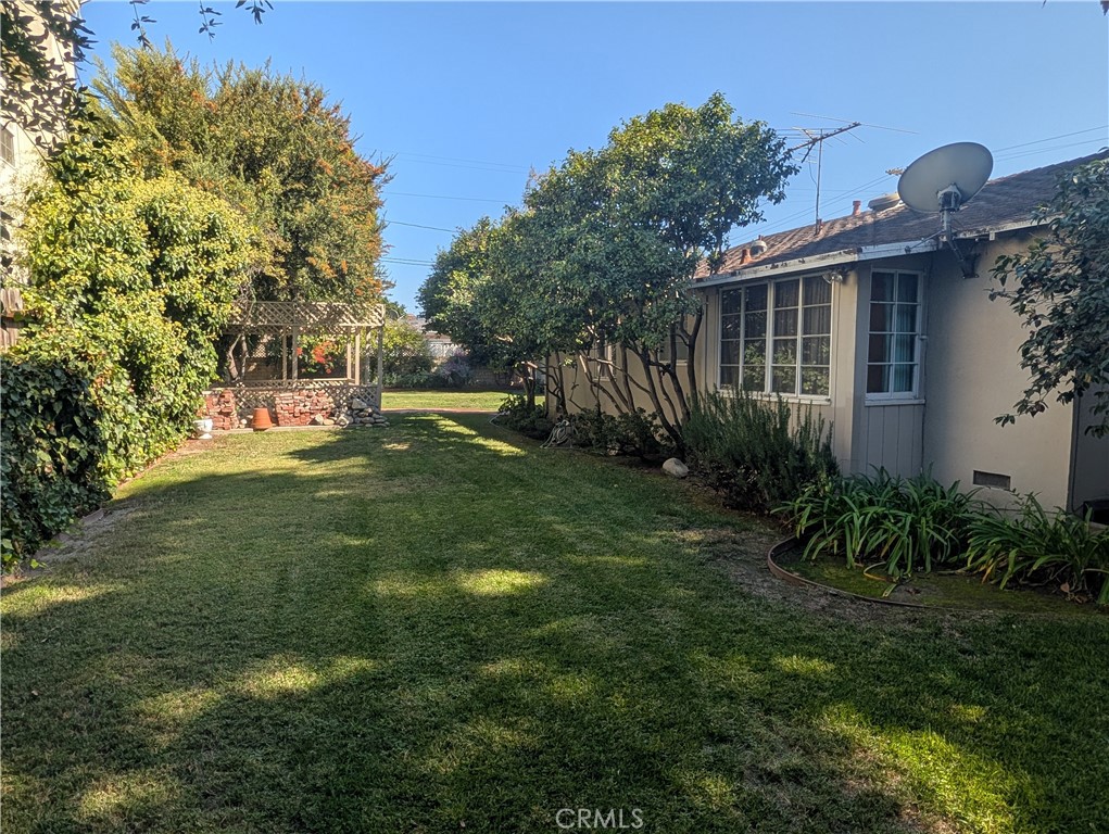 11581 Valley Spring Lane Studio City, CA 91604 - Photo 5 of 6 a view of a backyard with plants and large trees