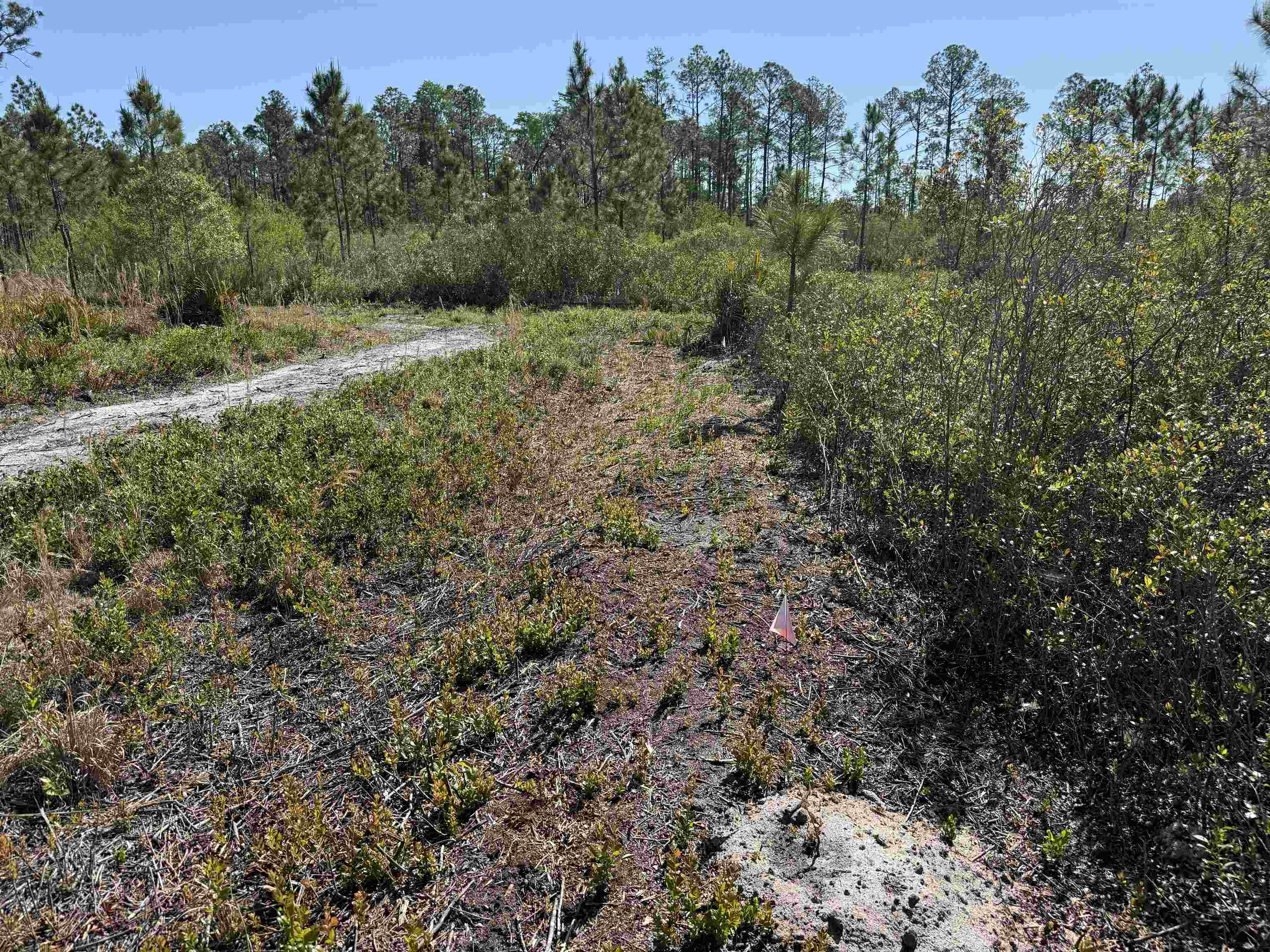 0 Madison Main Line Road Perry, FL 32347 - Photo 33 of 50