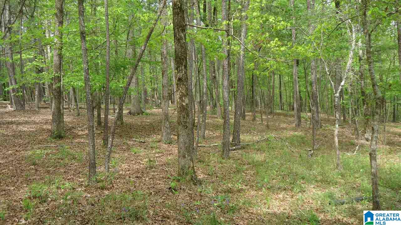 0 Mudd Street Ohatchee, AL 36271 - Photo 11 of 20