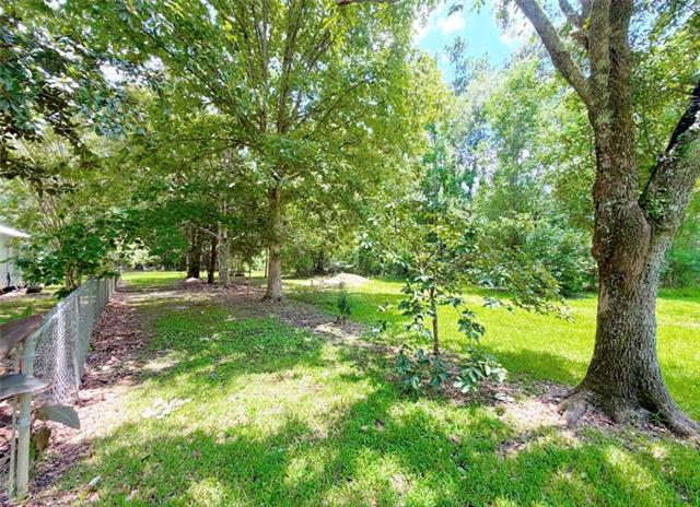 23544 Blood River Road Springfield, LA 70462 - Photo 19 of 23
