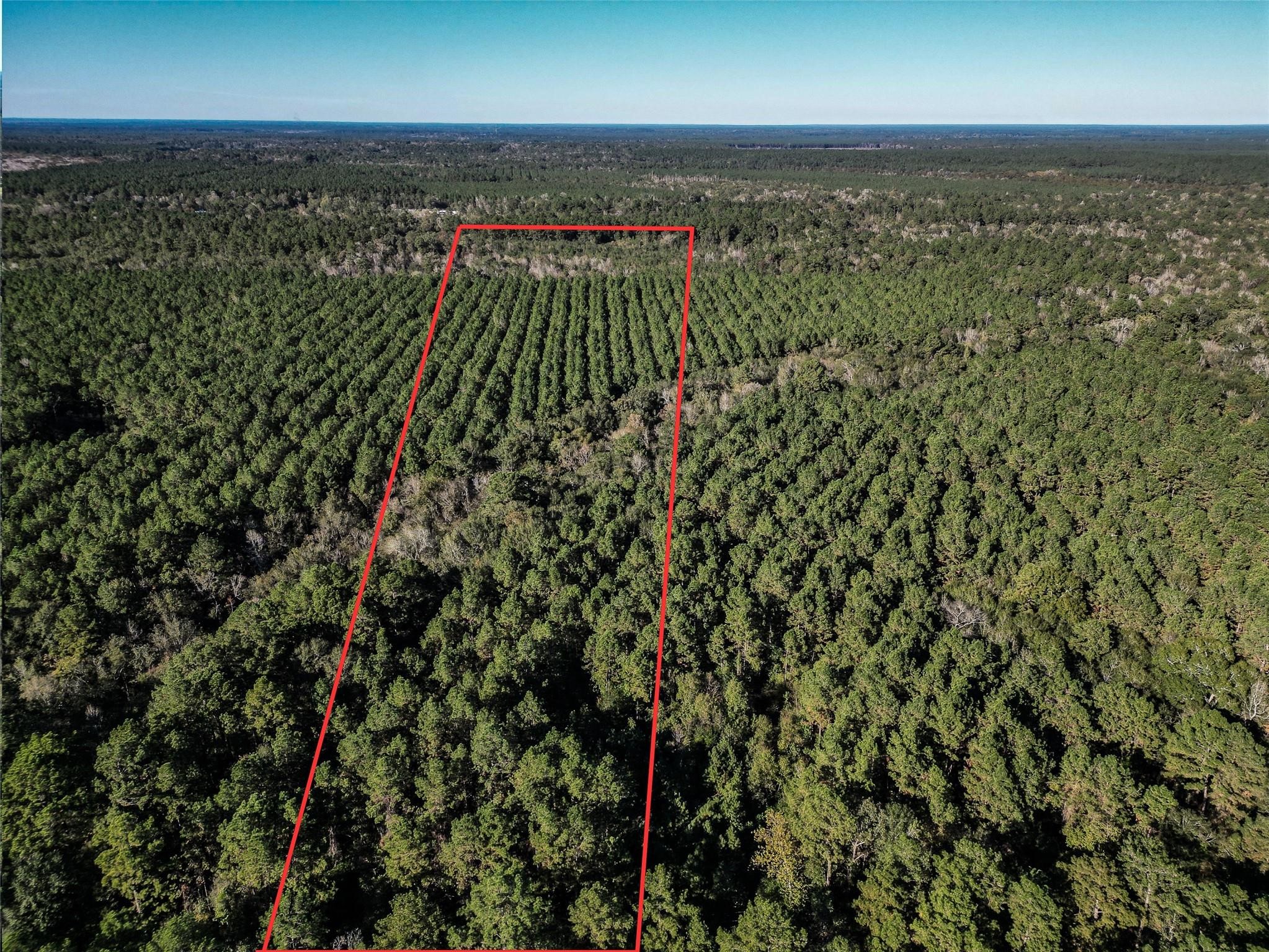 0 County Road 2125 Cleveland, TX 77327 - Photo 3 of 15
