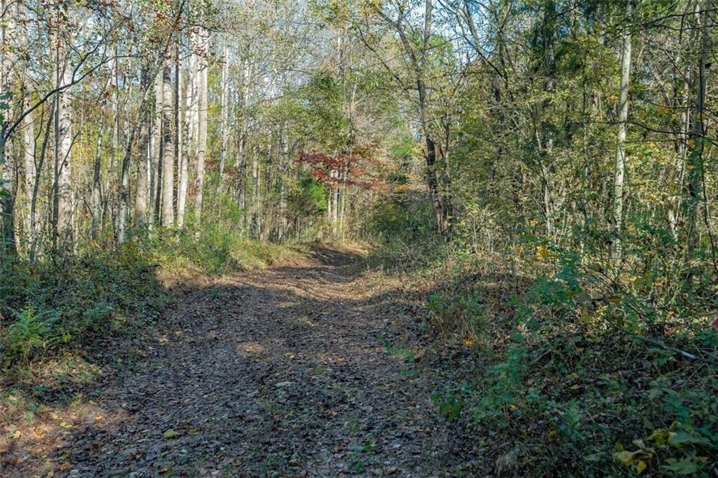 1637 Zion Church Road Hickory, NC 28602 - Photo 3 of 23 Gallery Image 3