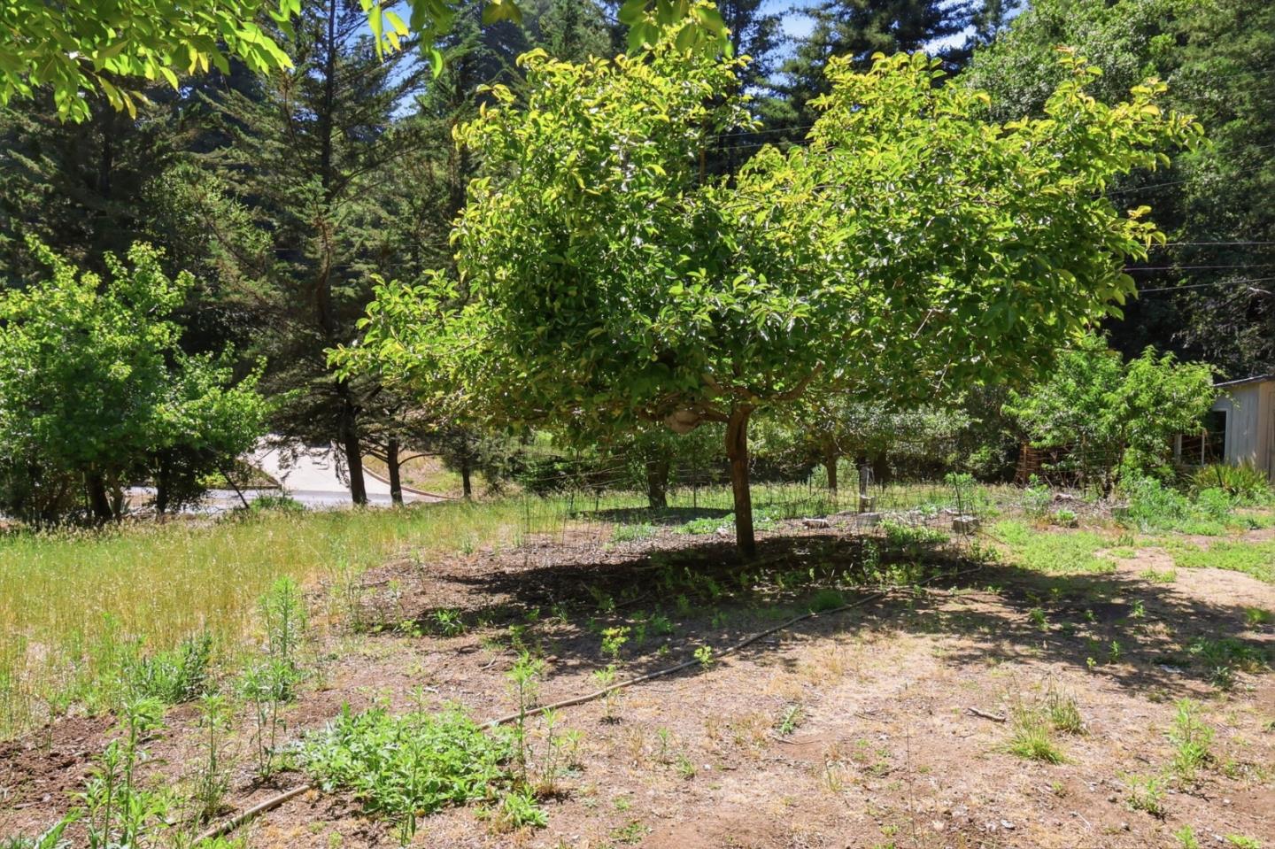 375 Blair Ranch Road Scotts Valley, CA 95066 - Photo 32 of 43