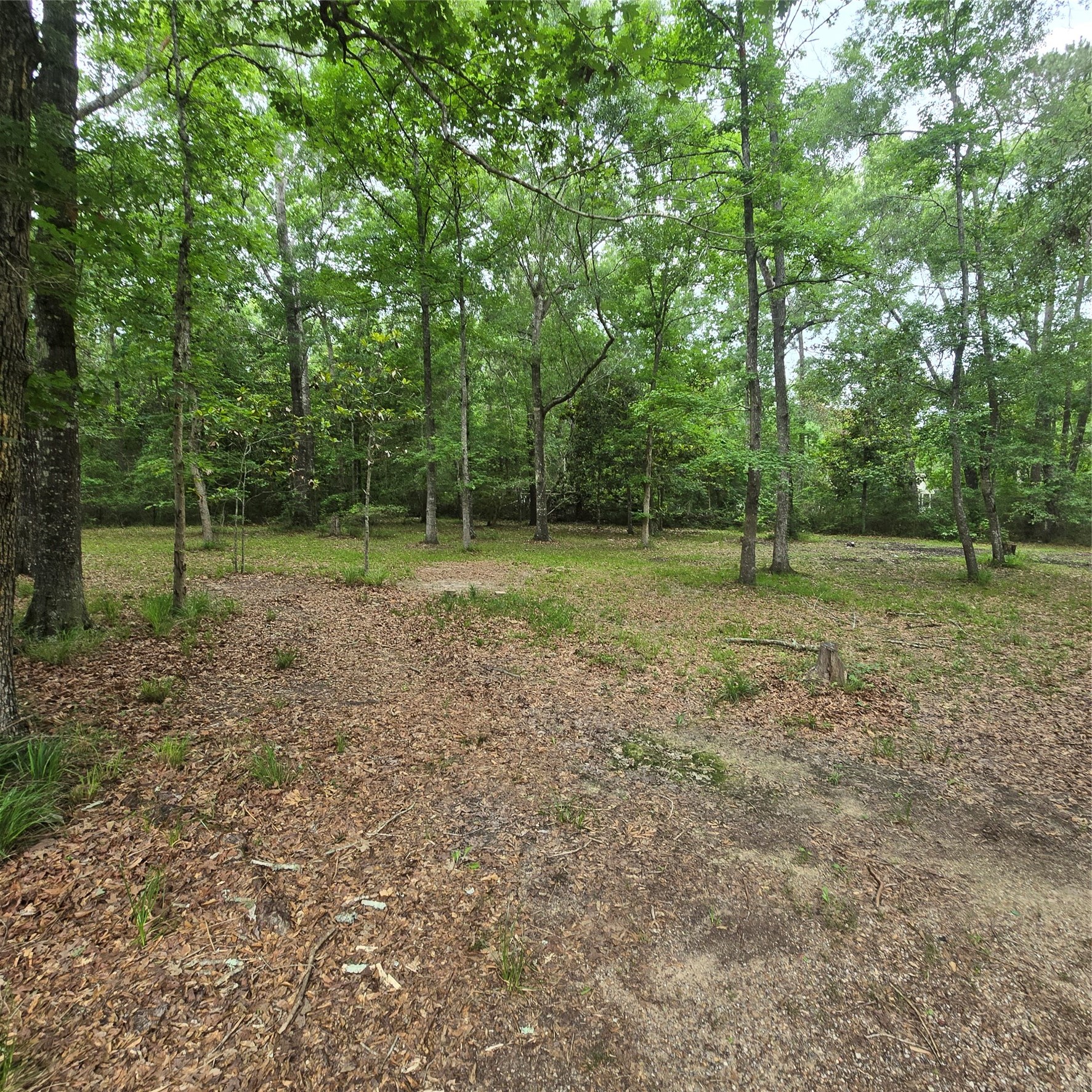 910 Ragsdale Springs Road Shepherd, TX 77371 - Photo 26 of 32