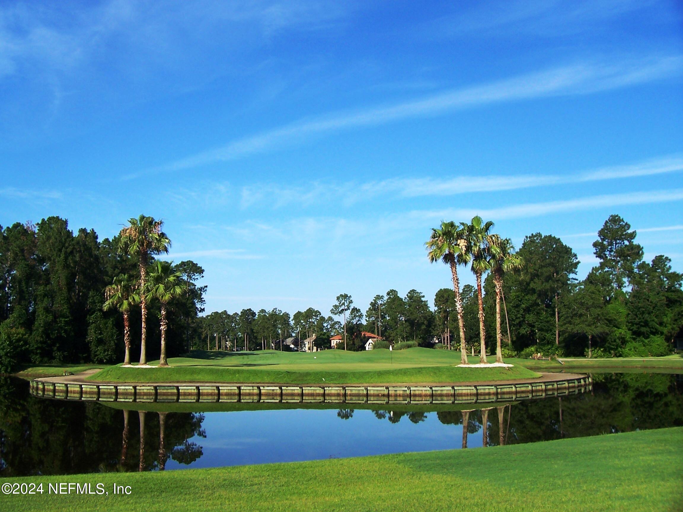 1830 Copper Stone Drive, Unit D Fleming Island, FL 32003 - Photo 46 of 65 a view of a park with palm trees
