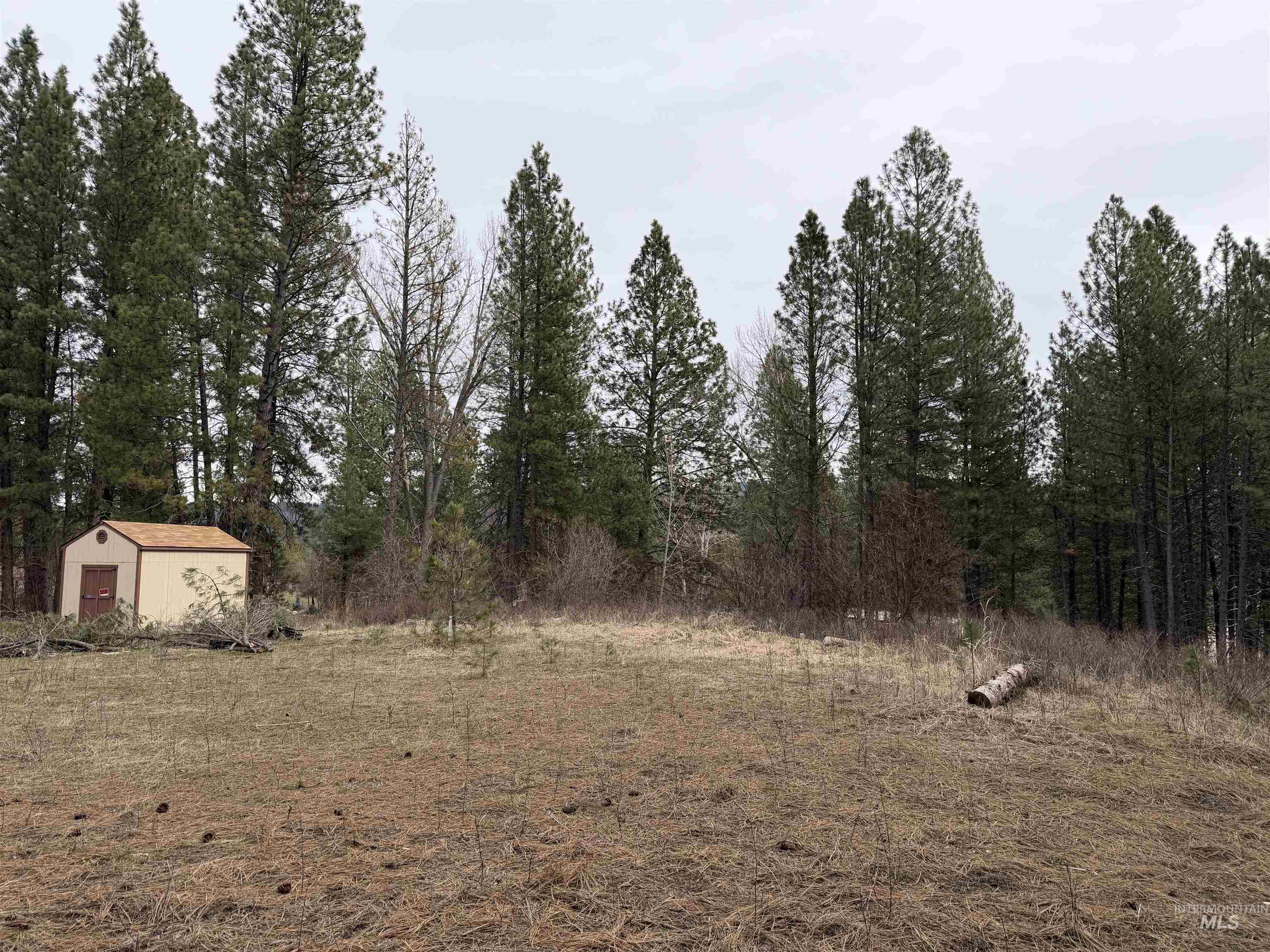Parcel B South Middlefork Road Garden Valley, ID 83622 - Photo 8 of 12 View of yard with a storage shed