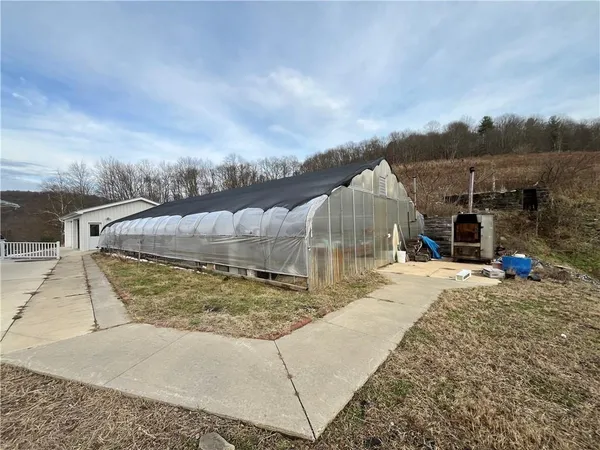 a view of a backyard
