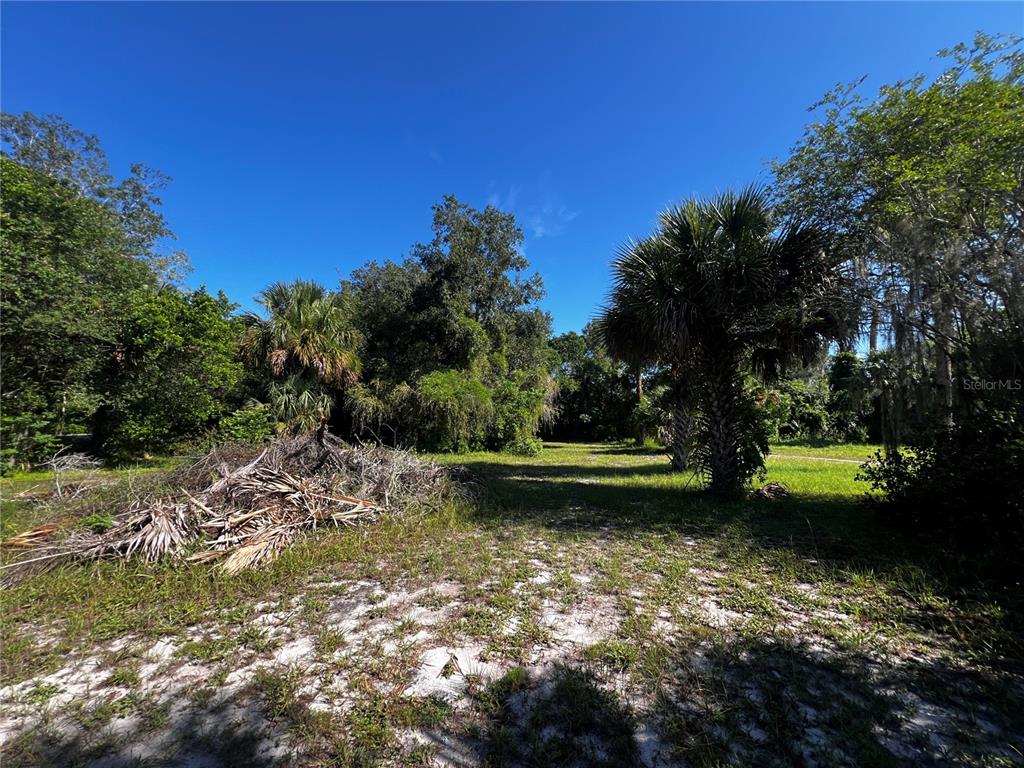 847 Snow Hill Road Geneva, FL 32732 - Photo 7 of 14 Gallery Image 7