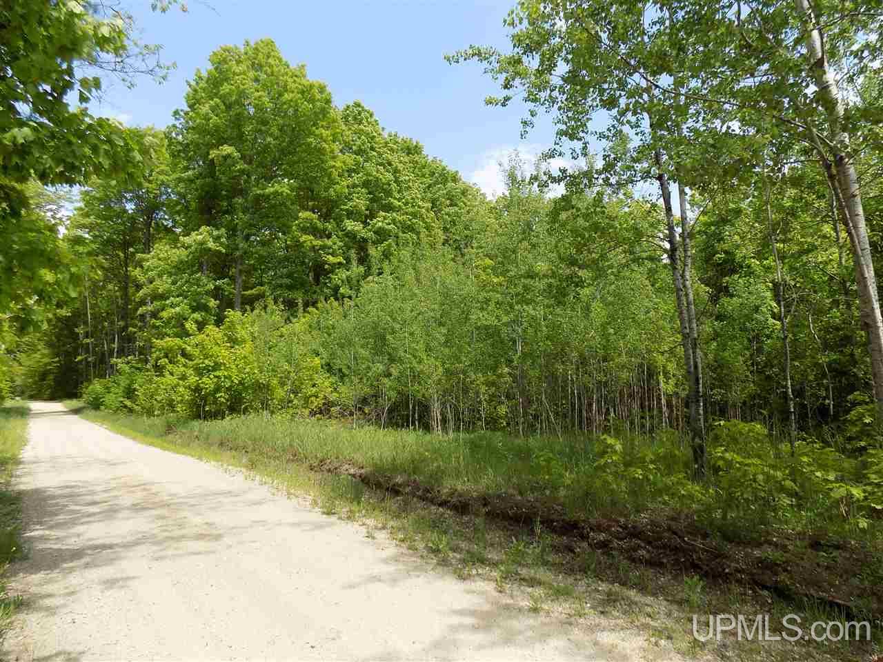 Tbd Aldrich Road Manistique, MI 49854 - Photo 5 of 11 Gallery Image 5