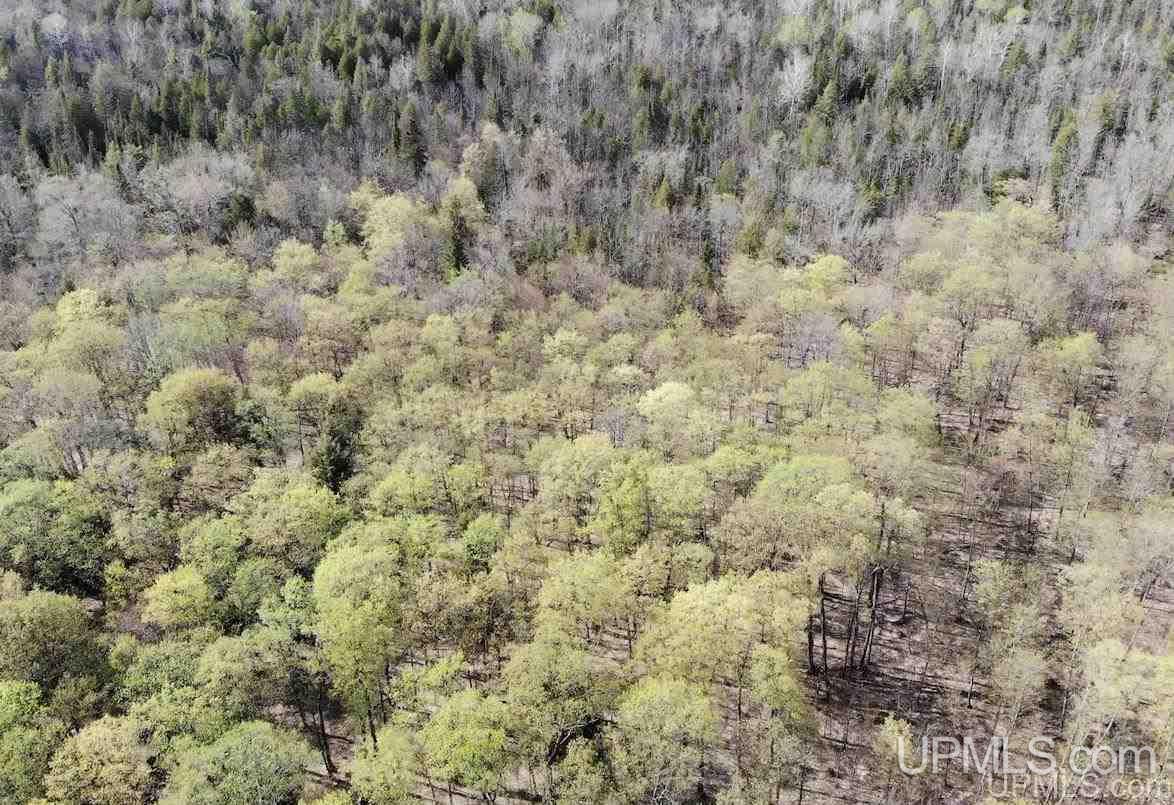 Tbd Tbd Us41 Lanse, MI 49946 - Photo 7 of 23