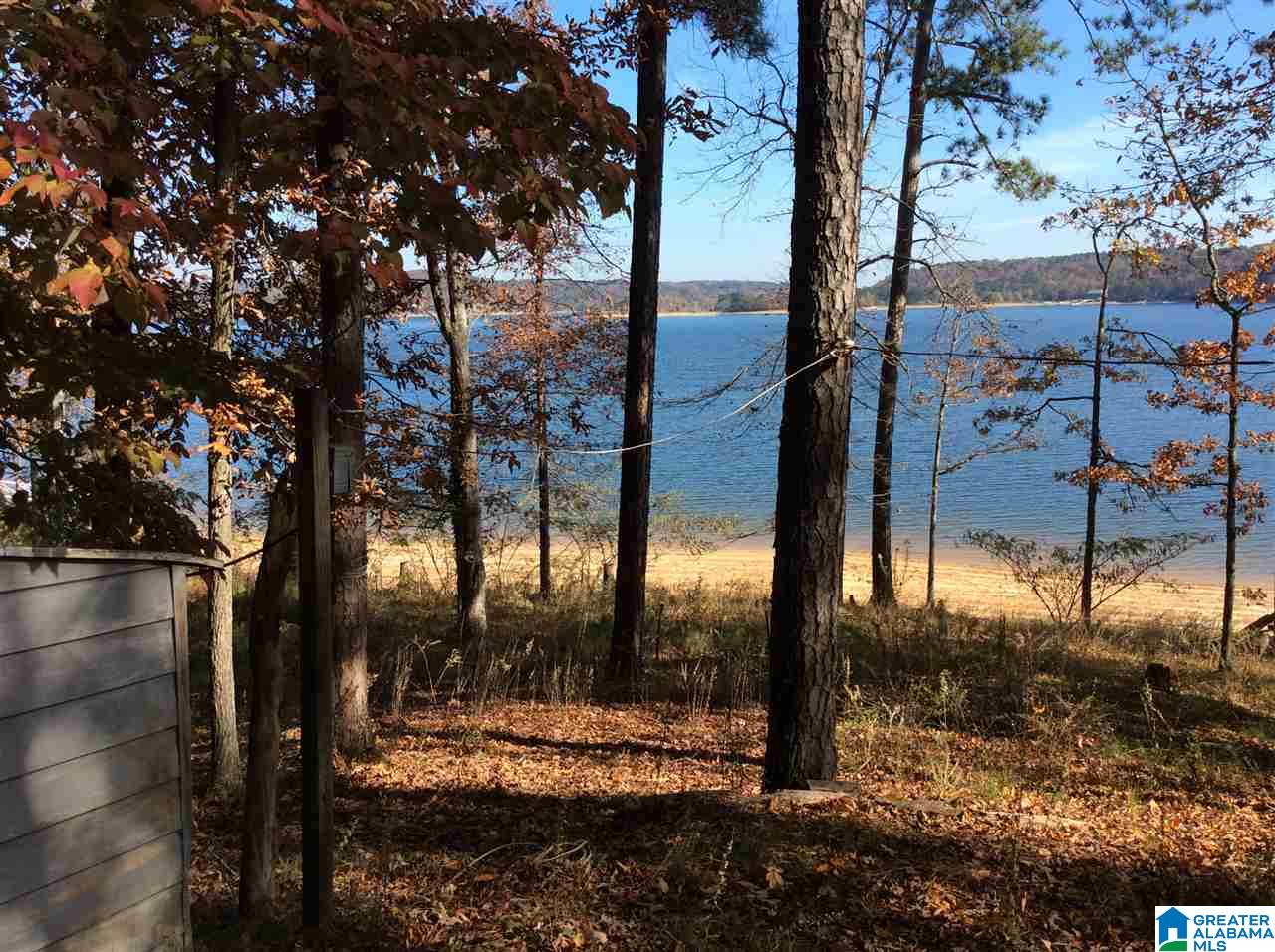 Co Rd 875-lot#5 Southeast Co Road, Unit LOT#5 Crane Hill, AL 35053 - Photo 2 of 5