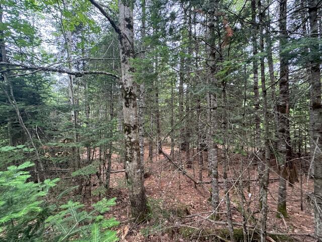 1 South Ridge Road Palmyra, ME 04965 - Photo 6 of 8 IMG_0193