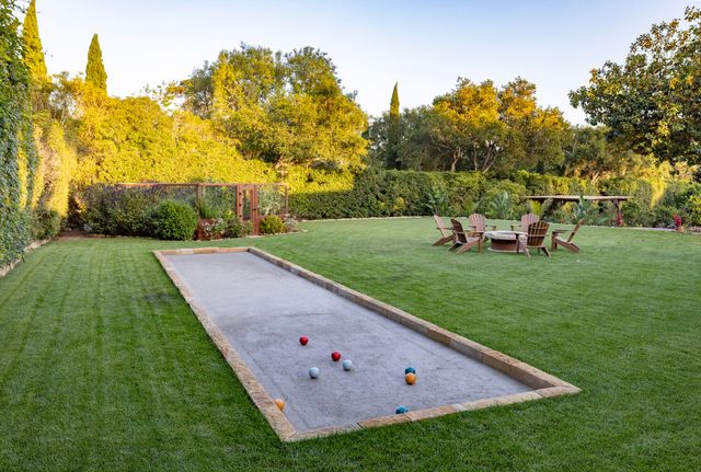 a view of a field with grass and a palm tree