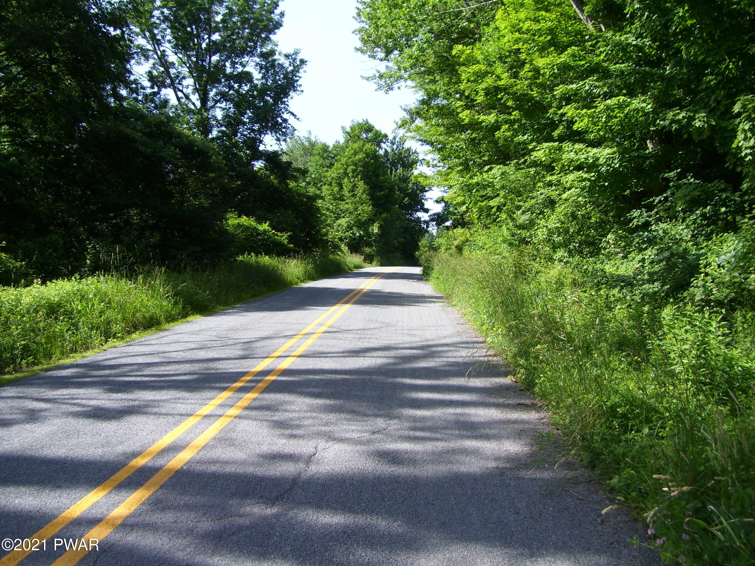 0 Forks Bridge Road Newfoundland, PA 18445 - Photo 5 of 16