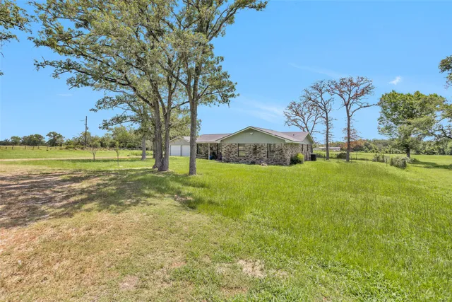a view of yard with tree s