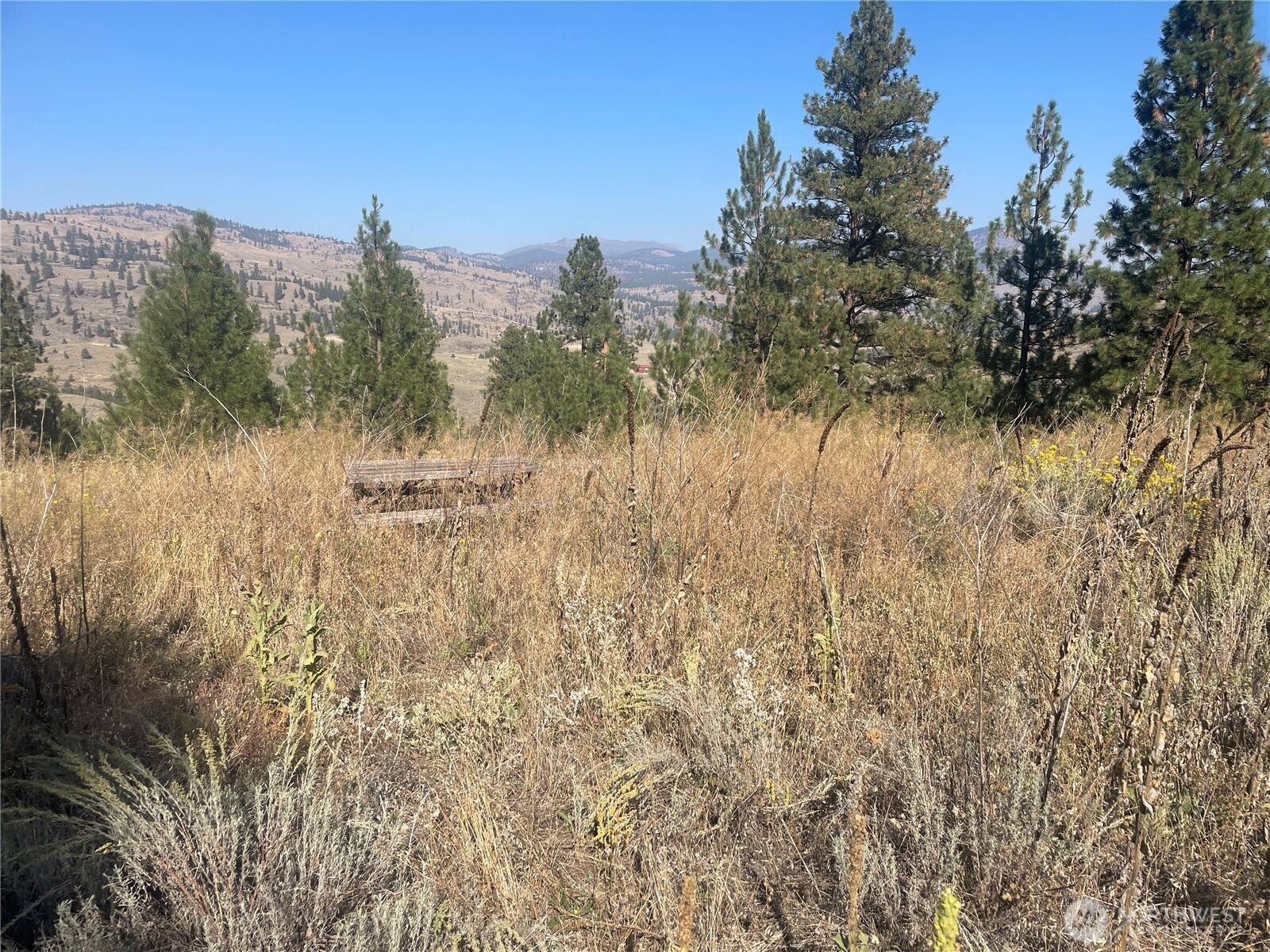 -tbd Reevas Basin Road Tonasket, WA 98855 - Photo 3 of 38