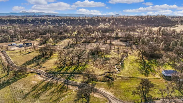 a view of a yard with trees