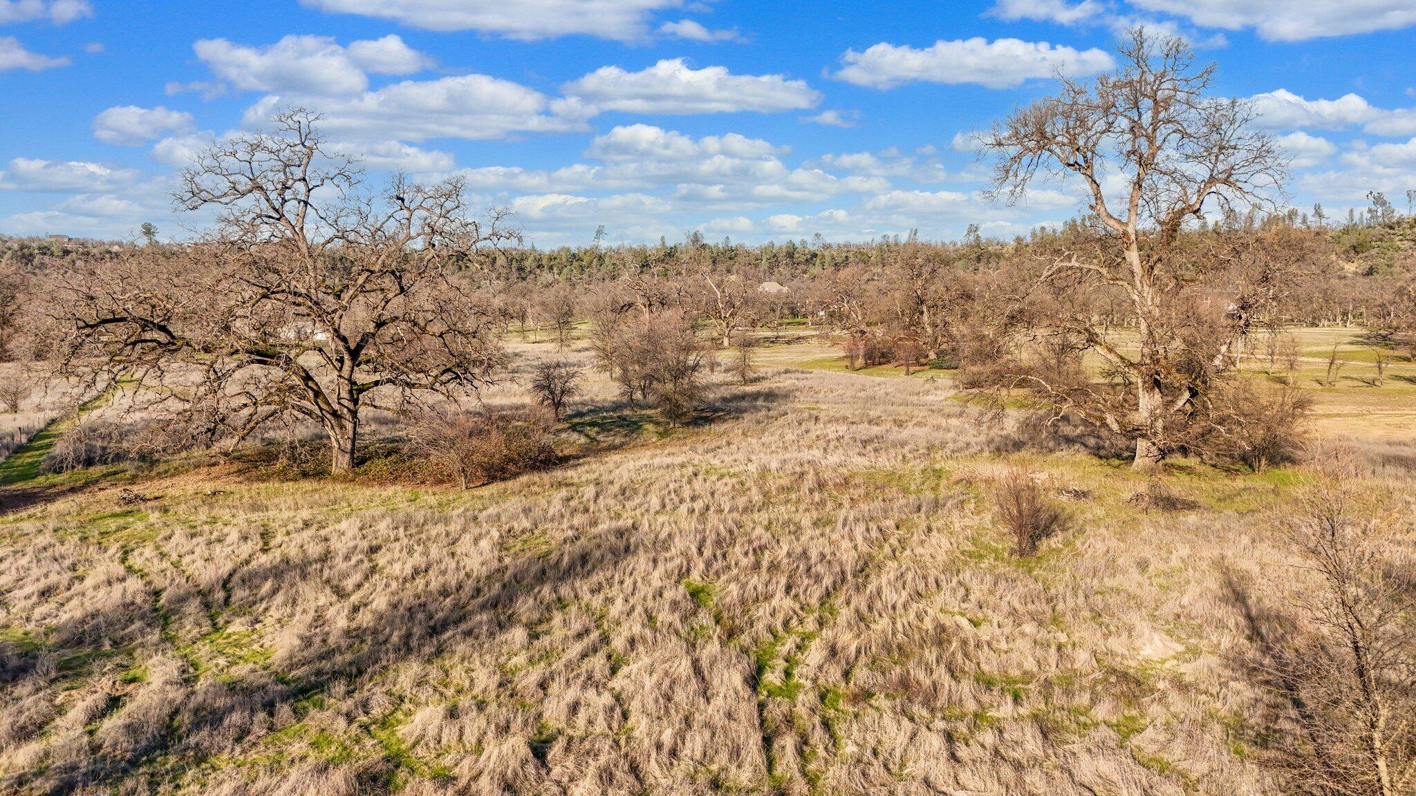 Oak Run Road Oak Run, CA 96069 - Photo 16 of 17 a view of a yard with wooden fence