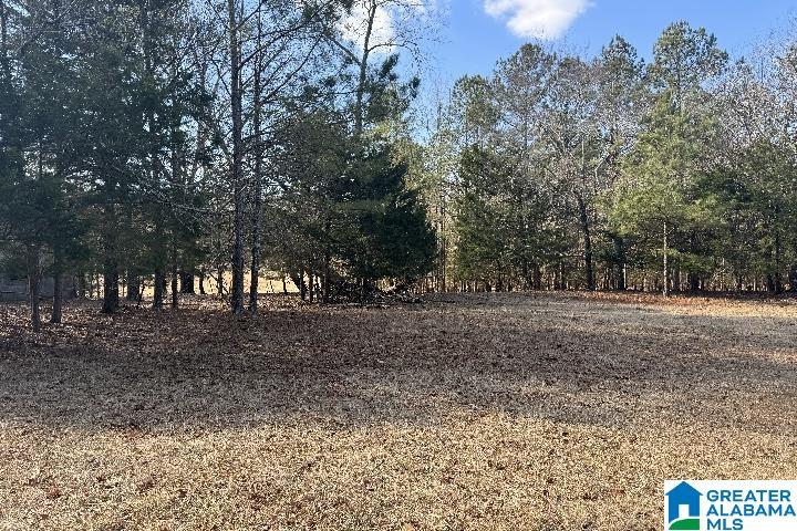 1036 Rushing Springs Road Lincoln, AL 35096 - Photo 10 of 58