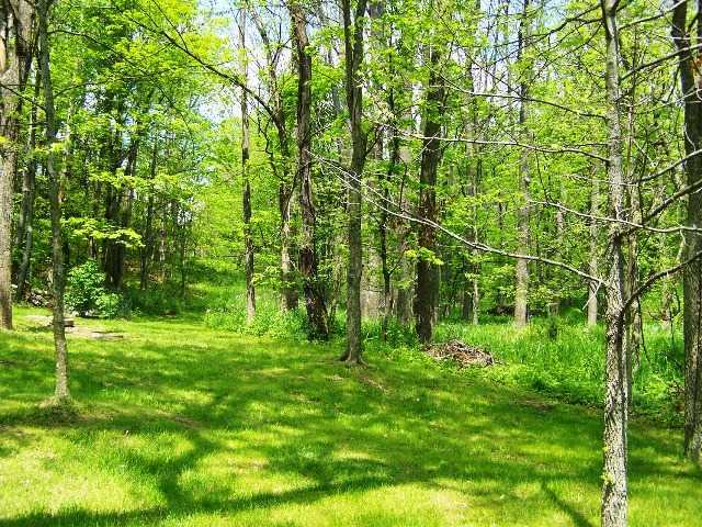 4360 Raccoon Valley Road Alexandria, OH 43001 - Photo 9 of 10 Gallery Image 9