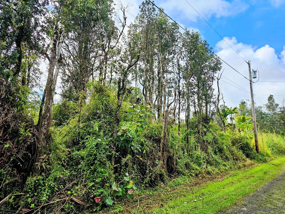 179 Kailua Road Pahoa, HI 96778 - Photo 1 of 11 Gallery Image 1